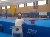 Imatge de la competició de lluita masculina