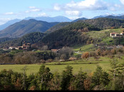 les lloses