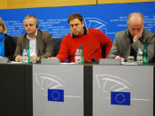 eurodiputats, Egunkaria, Martxelo Otamendi