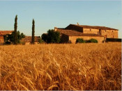 masia
