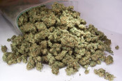 marihuana cànnabis