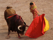toros, corrida, torero, curses, braus