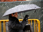 temporal neu