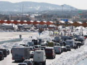 nevada junquera cua