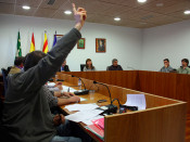 ple votació vot