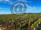 penedesfera blocs penedes