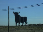 toro Masquefa osborne