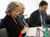 viviane reding