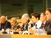 miquel català, ue, oficialitat, unió europea, eurodiputats