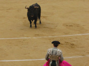 toros torero plaça