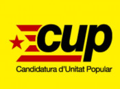 loto, cup