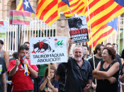 Antitaurins, Palma, bous, braus