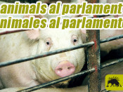 Pacma, ICV, animalistes