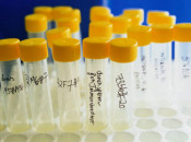 tubs, provetes, laboratori
