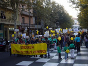 perpinyà, tractat dels pirineus