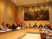 diputació, girona, ple