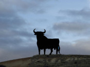 toro osborne brau bruc el