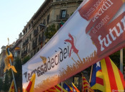 terrassa, decideix, consultes