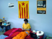 tomas seyes vaga de fam uab estudiant