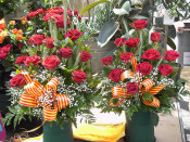 roses sant jordi diada rosa