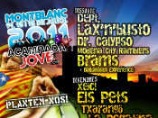 cartell, acampada jove 2011