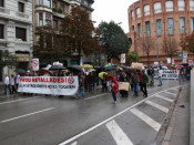 manifestació, retallades, novembre