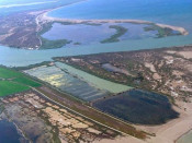 delta ebre riu terres