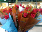 sant jordi roses 